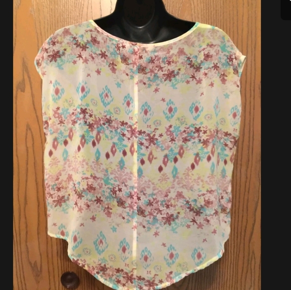 Decree Sheer Blouse Crop Top - Picture 3 of 10